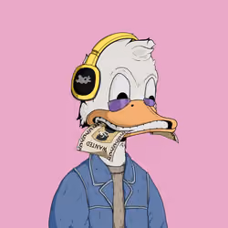 Down Market Ducks #7845