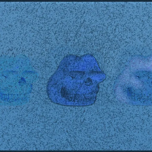 The Great Frog Study