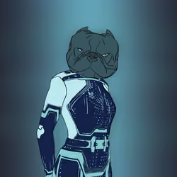 Corsotana