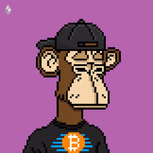 Bored Ape Pixel Club Ordinals