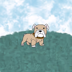 9