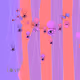 2000011