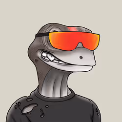 51