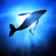 Whale