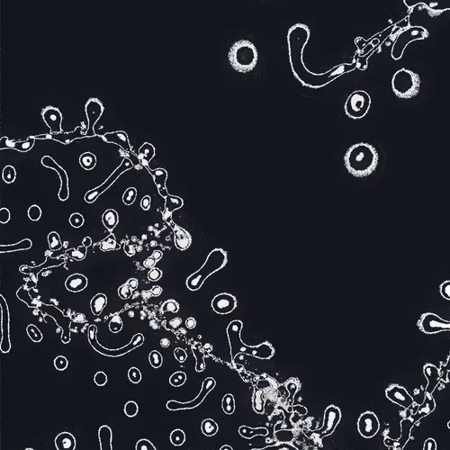 Water Studies By Qubibi