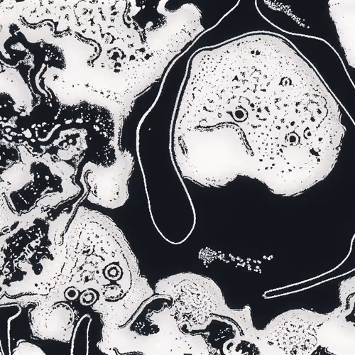 Water Studies by qubibi