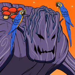 Ent #17