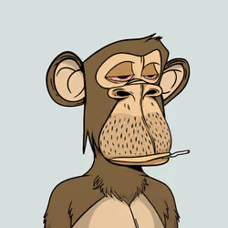 Annoyed Apes Club #711