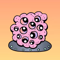 466