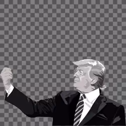 trump #809