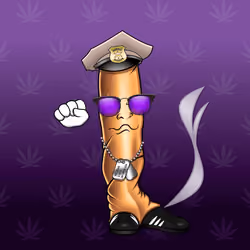 Blunt Head #570