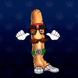Blunt Head #513