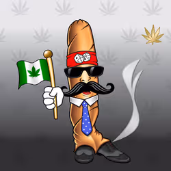 Blunt Head #502