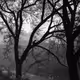 The Lens Tales