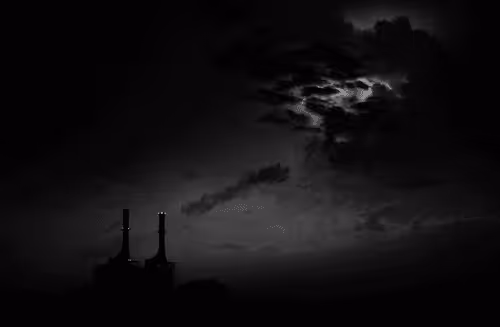 Power and The Plant