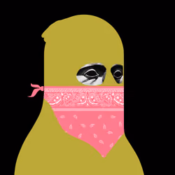Cyber Bandit #4325