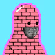 1037