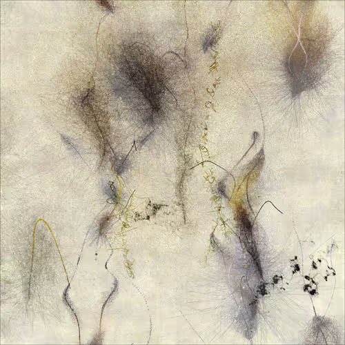 Item #2932014445 Media