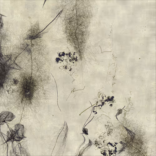 Item #2050513598 Media