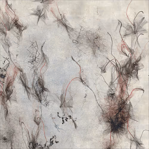 Item #3784666014 Media