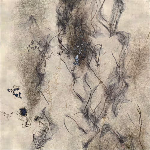 Item #552834378 Media