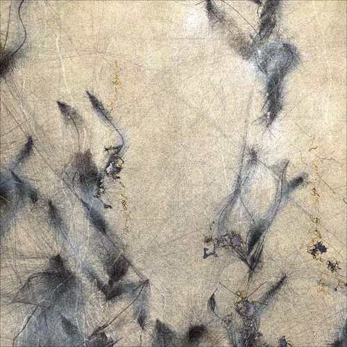 Item #312048004 Media