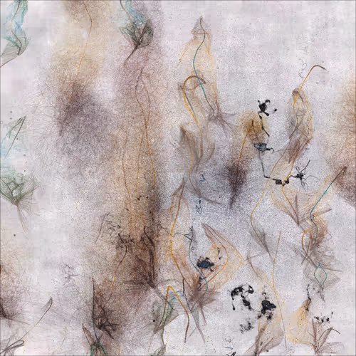 Item #3460067273 Media