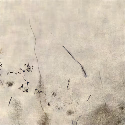 Item #1335647989 Media