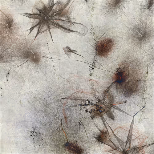 Item #276269033 Media