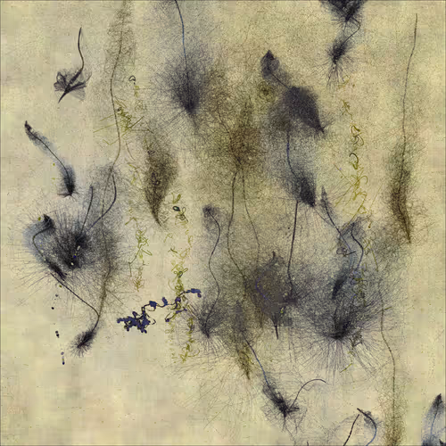 Item #1023640161 Media