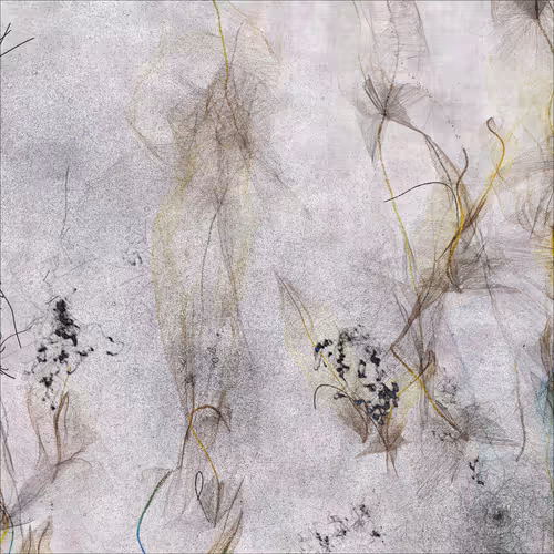 Item #4136244132 Media