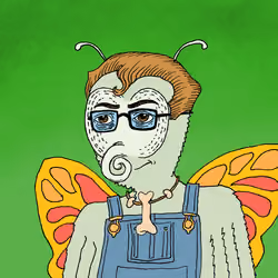Butterfly01041