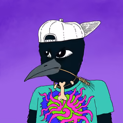 Raven06057
