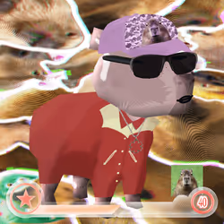 66