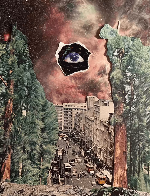 Item #43200030001 Media