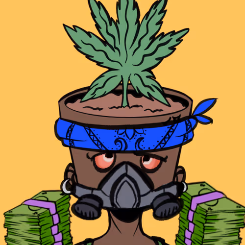 Pot Head #2