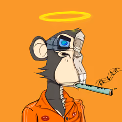 Skeleton Ape Yacht Club #4389