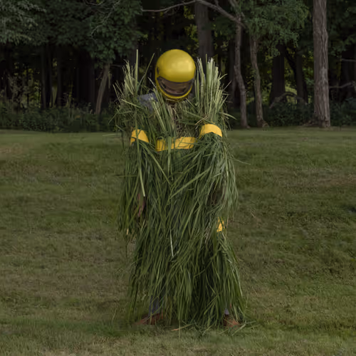Nothing To See Here By Ben Zank