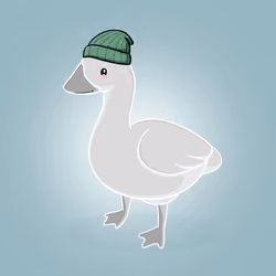 Honk #4338
