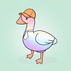 Honk #244
