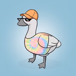 Honk #1542
