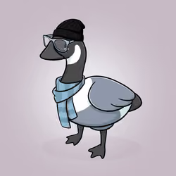 Honk #3349