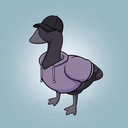 Honk #128