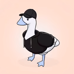 Honk #1189