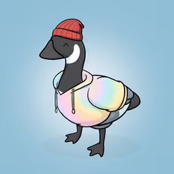 Honk #2436