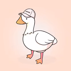 Honk #1870
