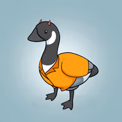 Honk #1703