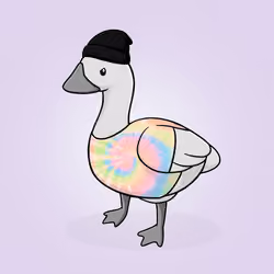 Honk #2243