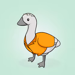 4638