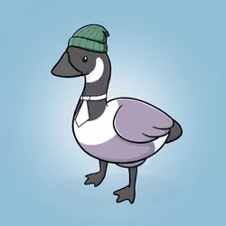 Honk #2900